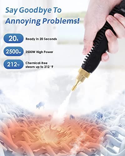 2500W Handheld Steam Cleaner for Home and Car Cleaning