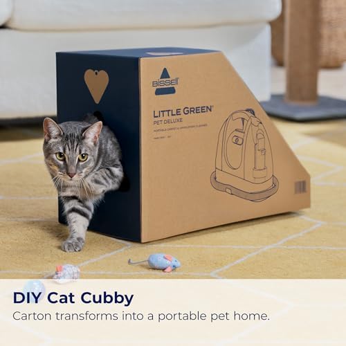 Bissell Little Green Pet Deluxe Carpet Cleaner and Car Detailer