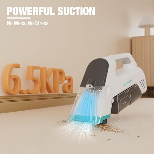 HAUSHOF 12V Cordless Carpet Cleaner with 2 Tanks