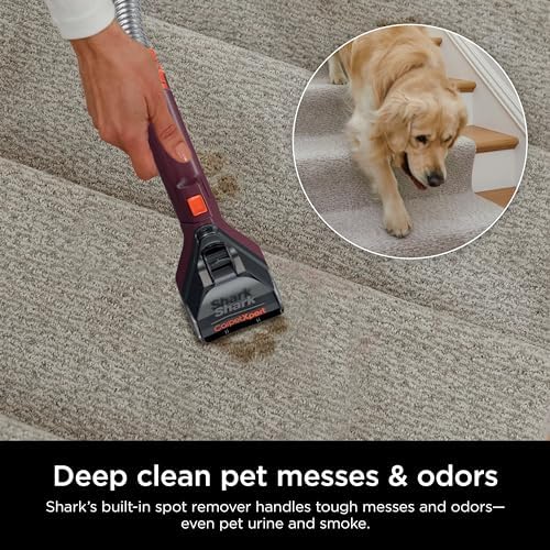 Shark EX150 CarpetXpert Upright Cleaner with Spot Eliminator