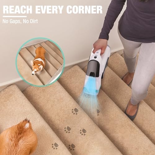 HAUSHOF 12V Cordless Carpet Cleaner with 2 Tanks