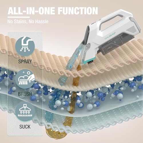 HAUSHOF 12V Cordless Carpet Cleaner with 2 Tanks