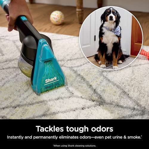 Shark CarpetXpert HairPro with StainStriker Cleaner
