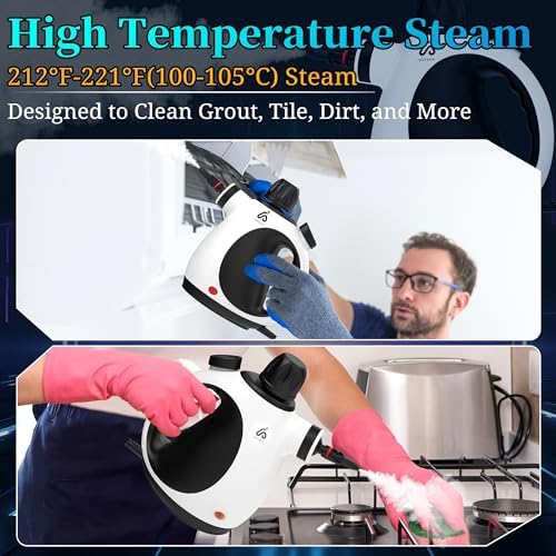 Insteam Handheld Steam Cleaner 12 in 1 Kit with Heat Resistant Gloves