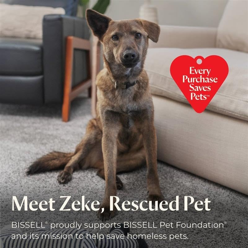 Bissell Little Green Pet Pro Carpet Cleaner