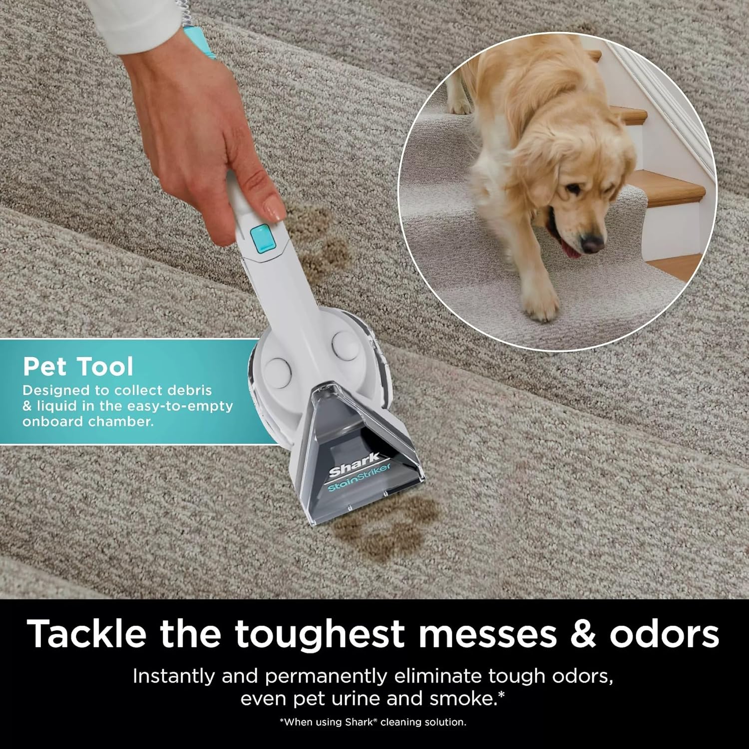 Shark PX201 StainStriker Carpet Cleaner with 3 Attachments