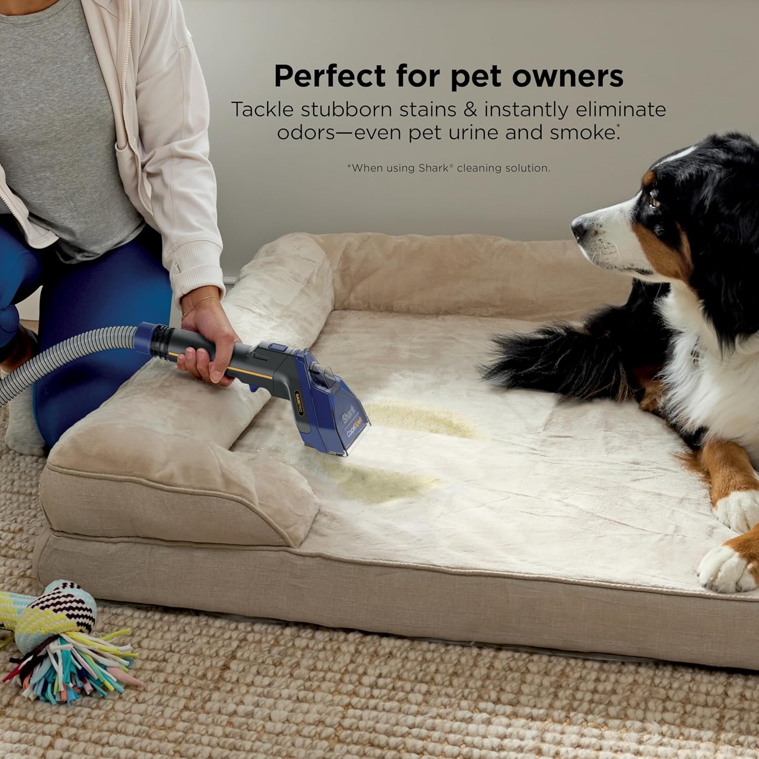 Shark CarpetXpert HairPro Upright Cleaner