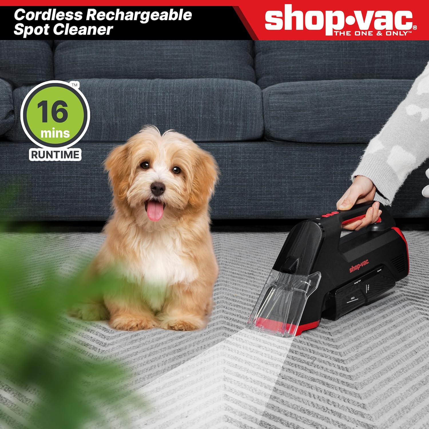 Shop-Vac 3-in-1 Cordless Spot Cleaner