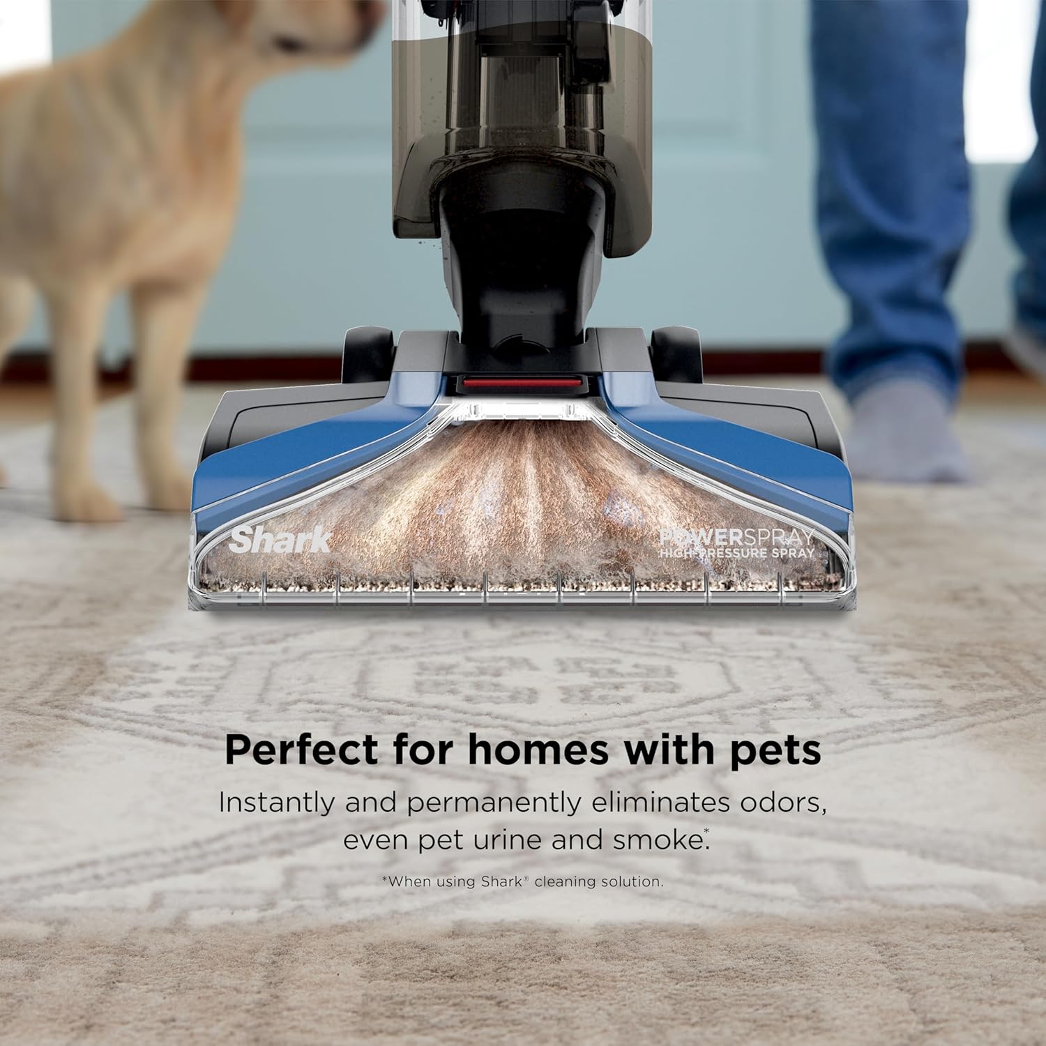 Shark CarpetXpert Upright Deep Cleaner Blue
