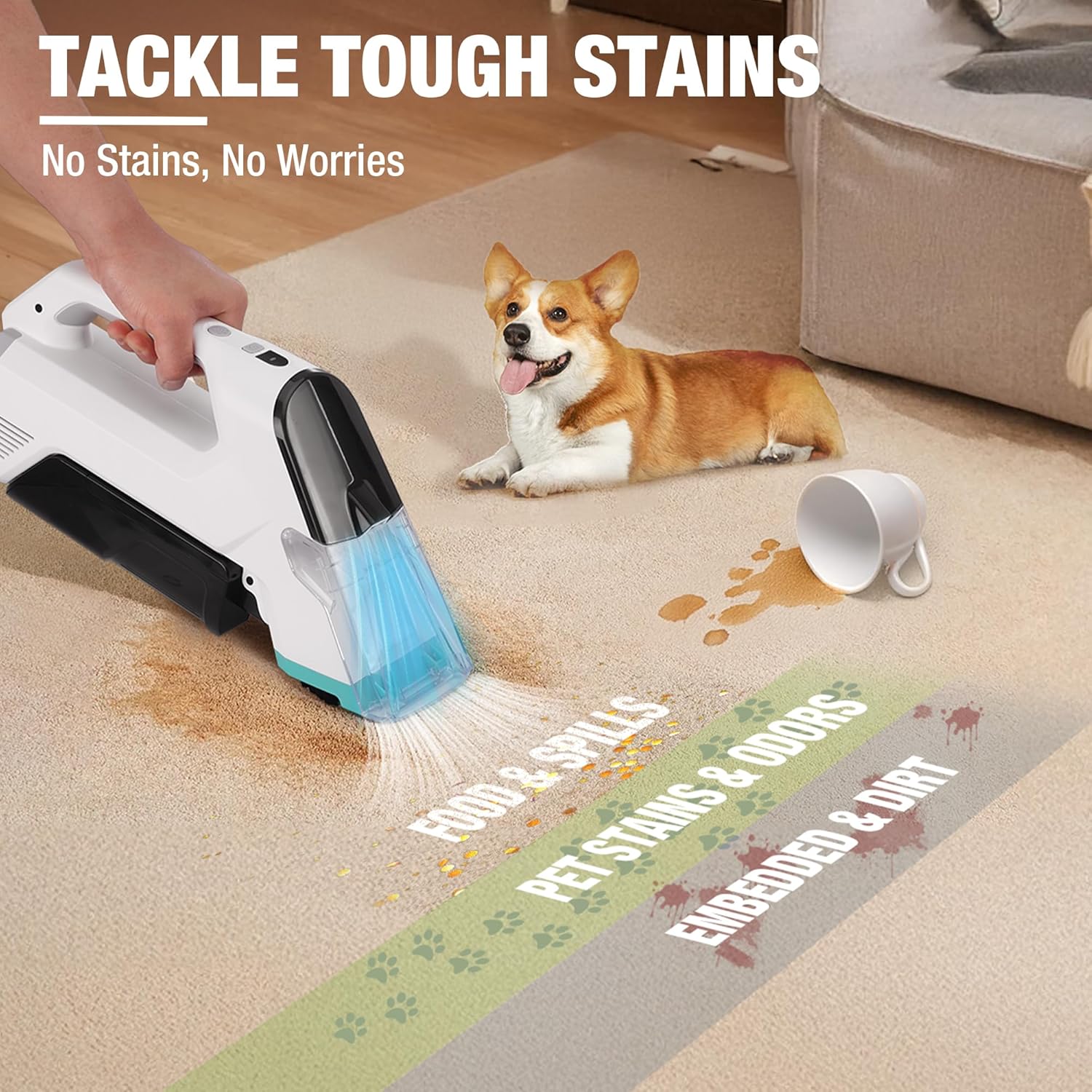 HAUSHOF 12V Cordless Carpet Cleaner with 2 Tanks