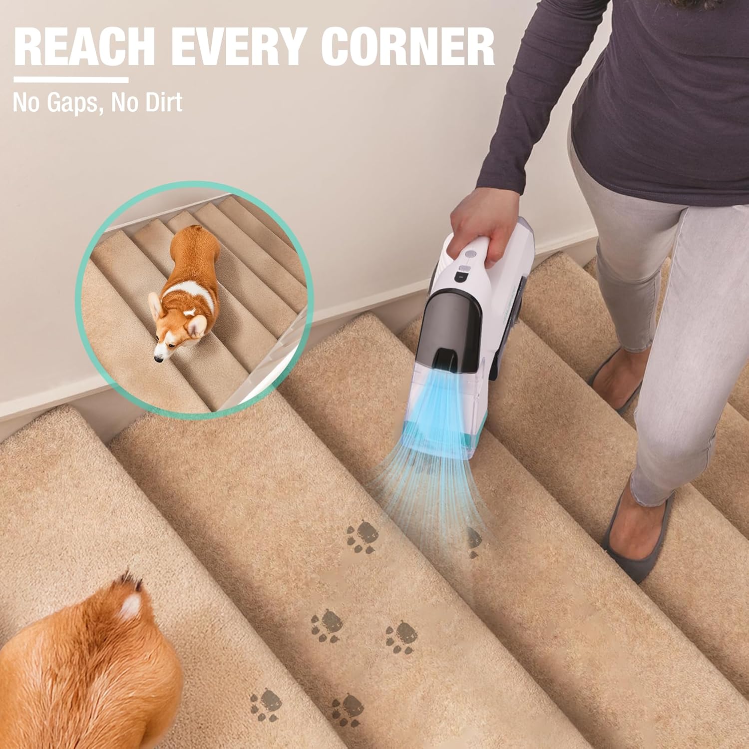 HAUSHOF 12V Cordless Carpet Cleaner with 2 Tanks