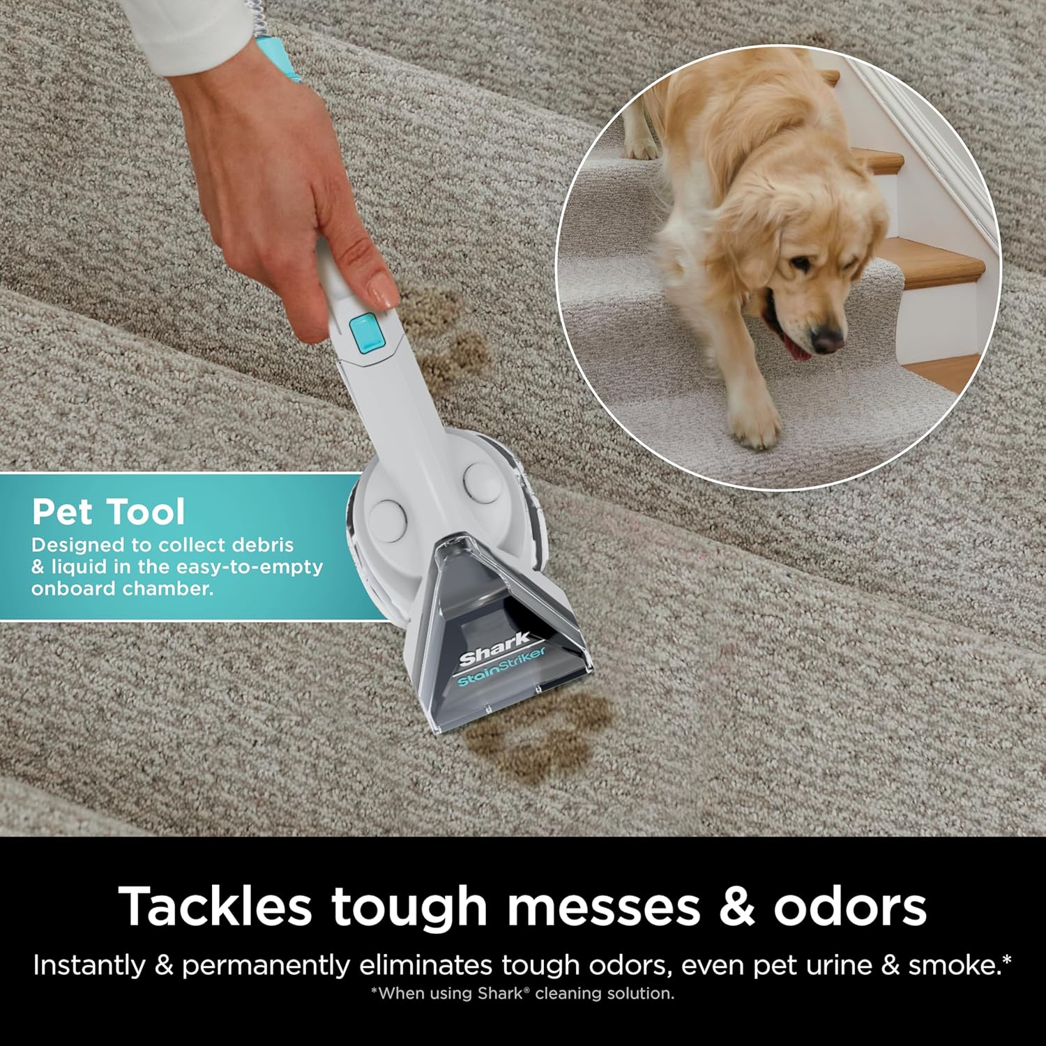 Shark CarpetXpert with StainStriker Upright Cleaner