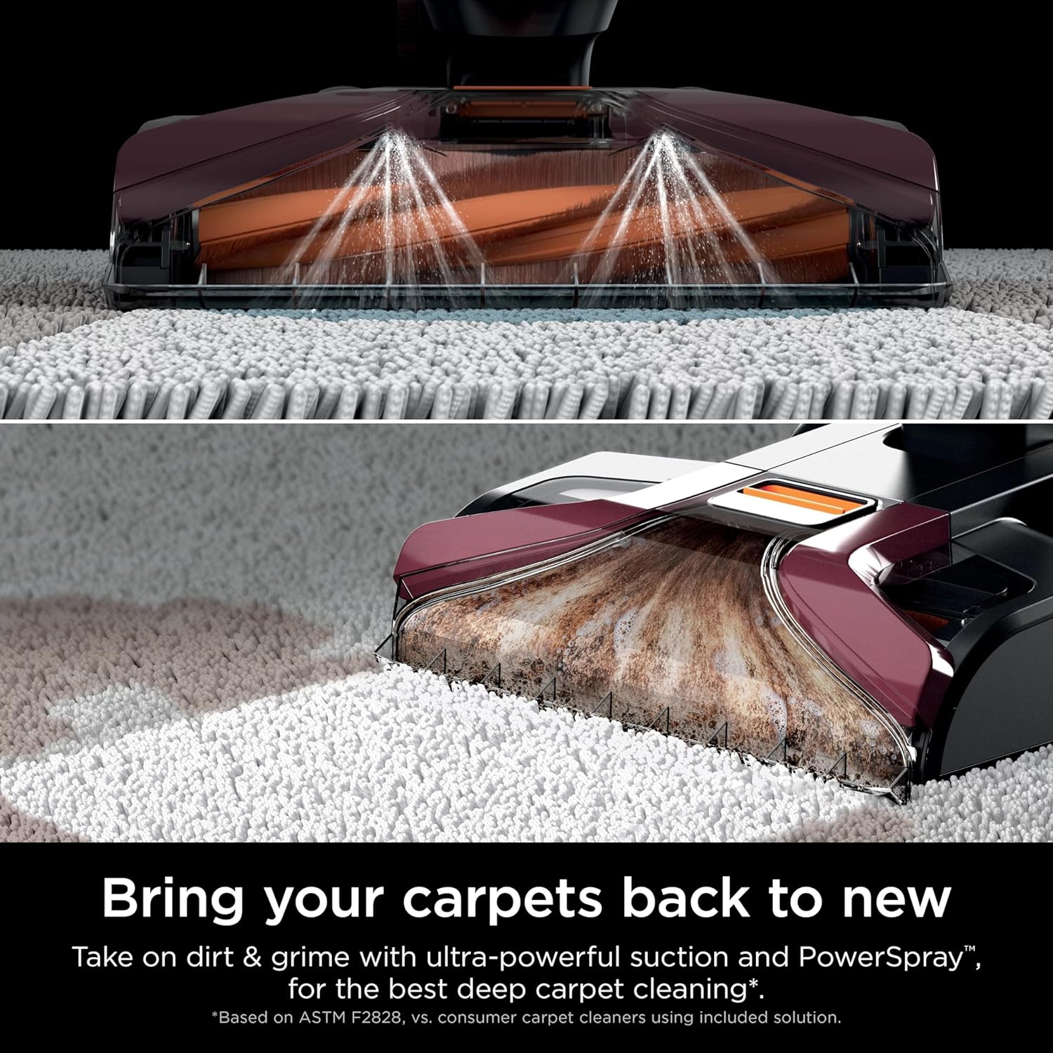 Shark EX150 CarpetXpert Upright Cleaner with Spot Eliminator