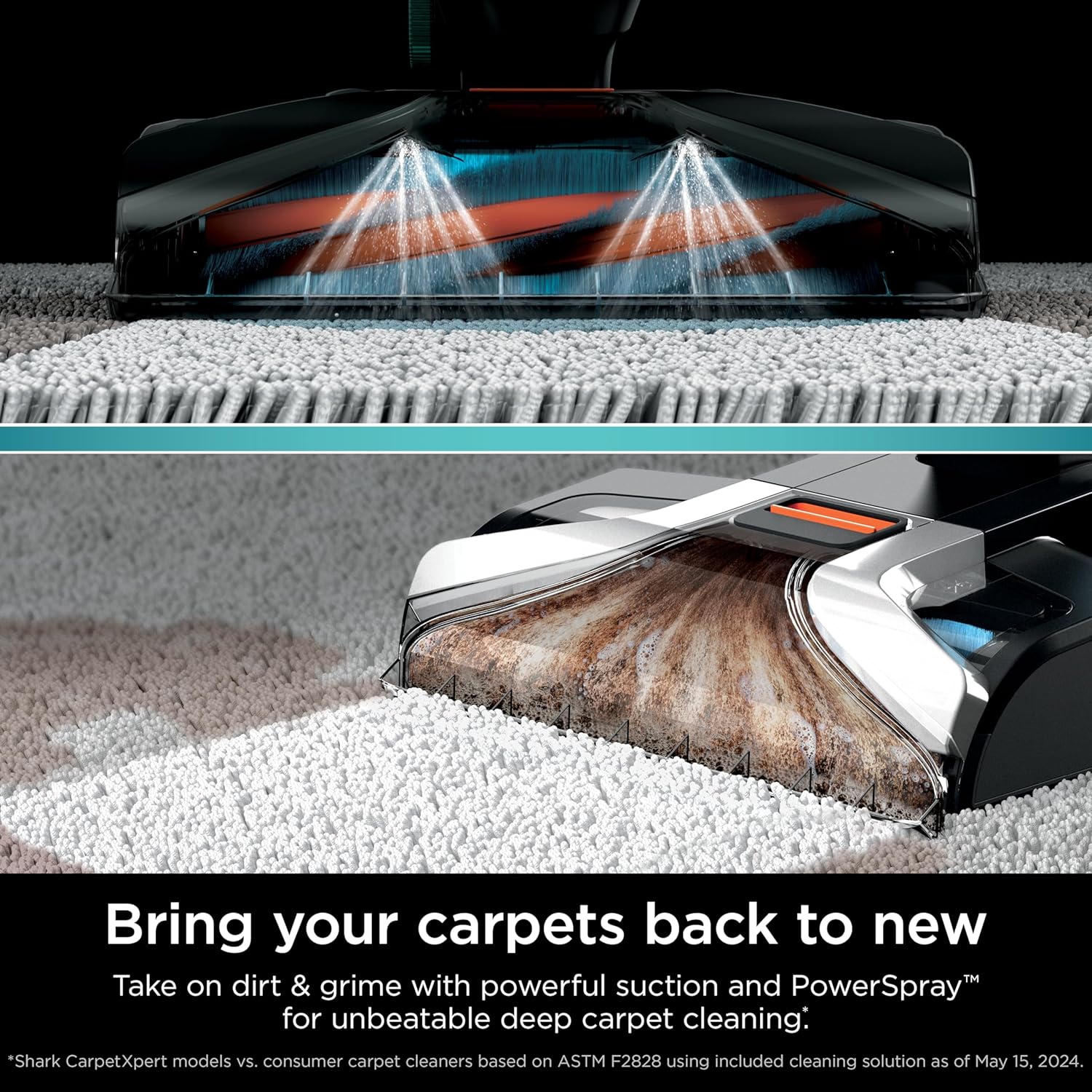 Shark CarpetXpert with StainStriker Upright Cleaner