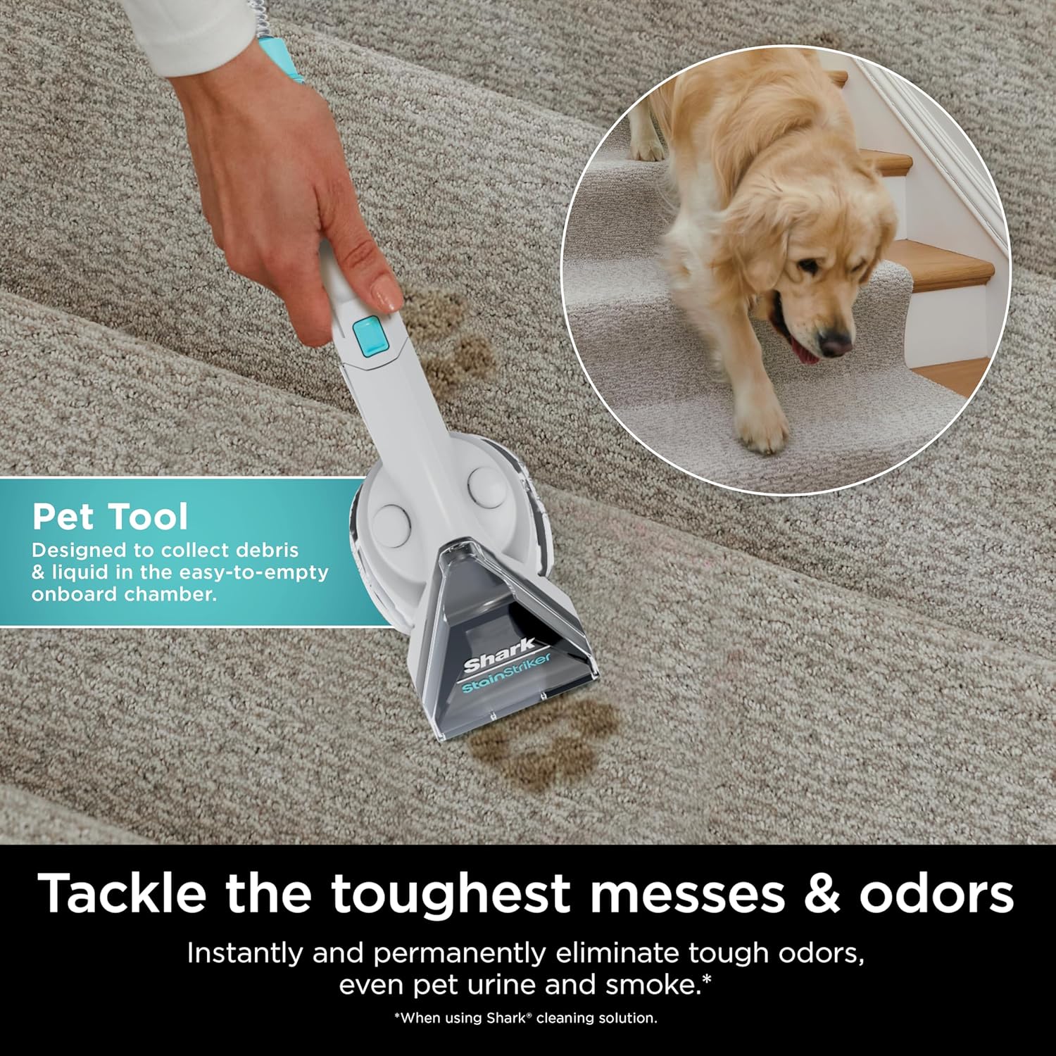 Shark StainStriker Portable Carpet Cleaner with Pet Tool