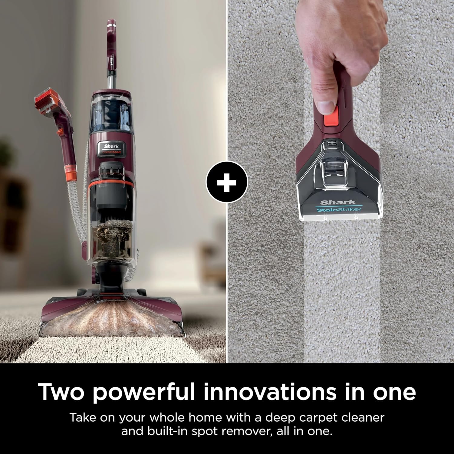 Shark EX150 CarpetXpert Upright Cleaner with Spot Eliminator