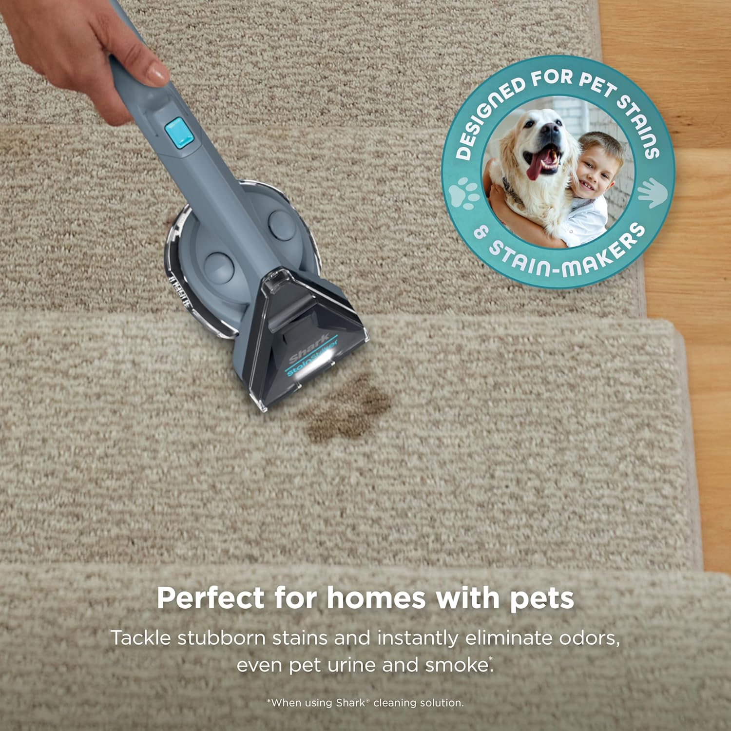 Shark StainStriker Portable Carpet Cleaner with 4 Tools